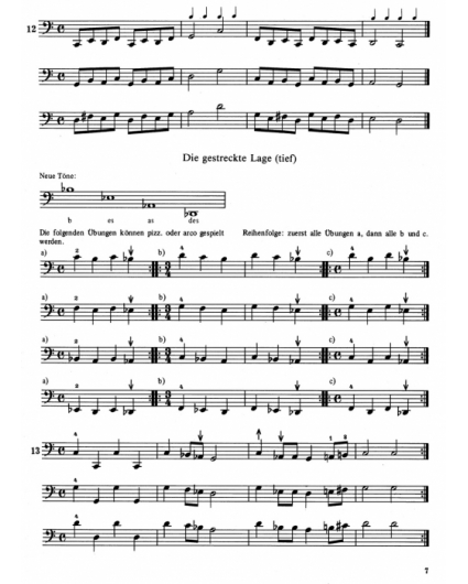 Einfuhrung in das Lagenspiel ana martonn