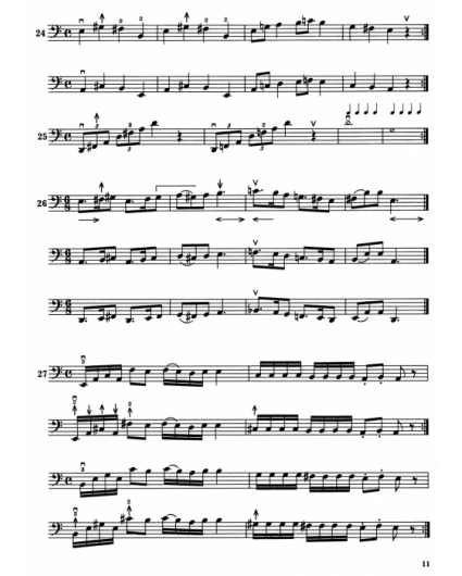 Einfuhrung in das Lagenspiel ana martonn