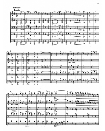 Streichquintett Op.Post. 163 in C Major  Schubert