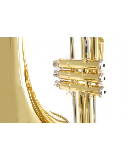 Trombon Roy Benson Pistones VT-227