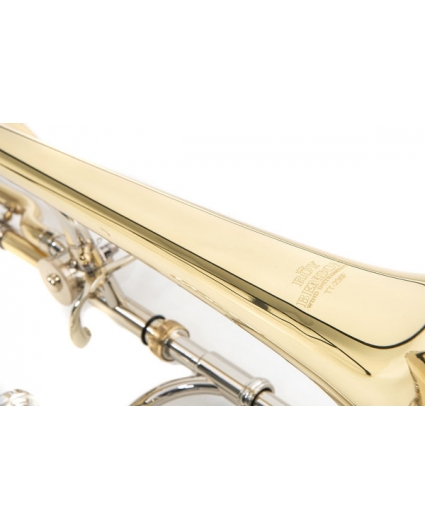 Trombon Roy Benson TT-236F