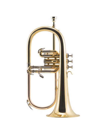 Fliscorno J.Michael 500