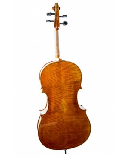 Violonchelo Antonio Wang Brandenburg
