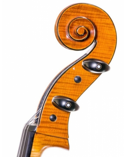 Violonchelo Antonio Wang Viena Stradivari
