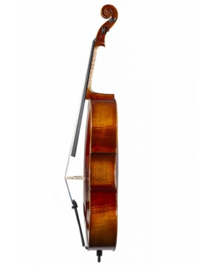 Cello F. Müller Soloist