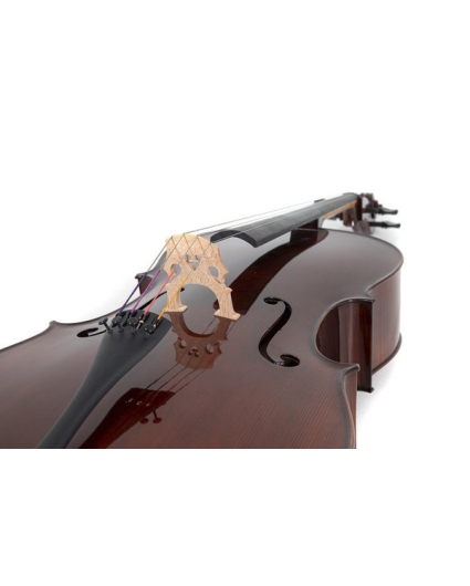 Cello Gewa Concierto Georg Walther