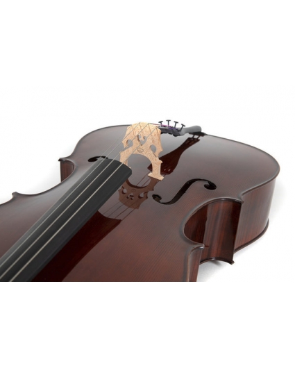 Cello Gewa Concierto Georg Walther