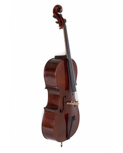 Cello Gewa Concierto Georg Walther