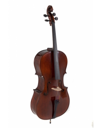 Cello Gewa Concierto Georg Walther