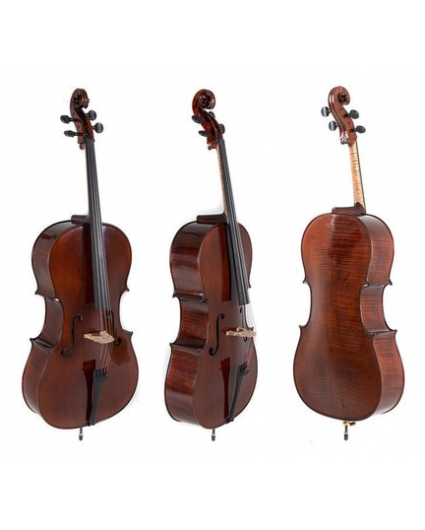 Cello Gewa Concierto Georg Walther