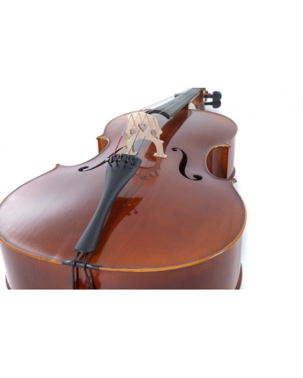 Cello Gewa Allegro VC1