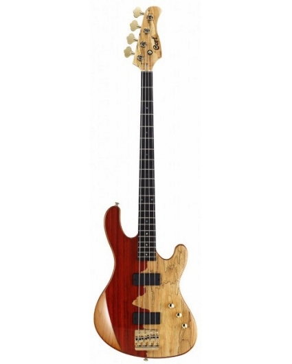 Cort Rithimic Jeff Berlin 