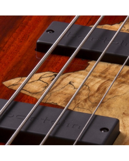 Cort Rithimic Jeff Berlin 