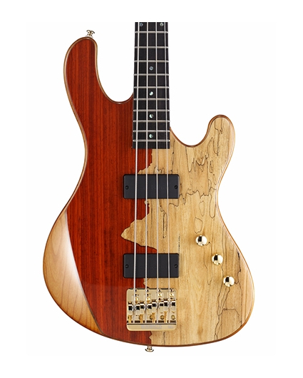 Cort Rithimic Jeff Berlin 