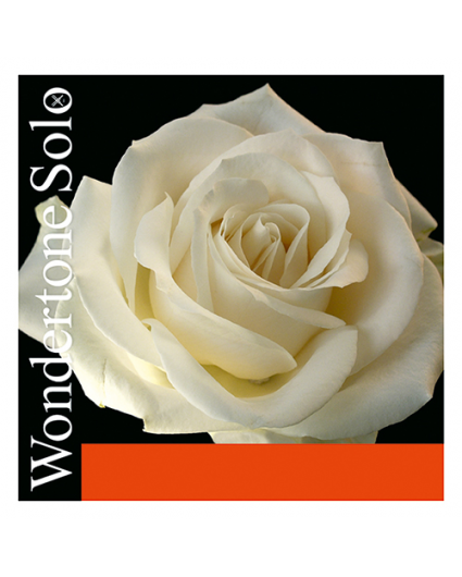 Cuerda Sol Violin Pirastro Wondertone Solo 410421