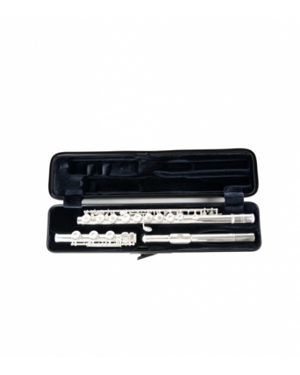 Estuche Flauta BAM Hightech 4009XLSC