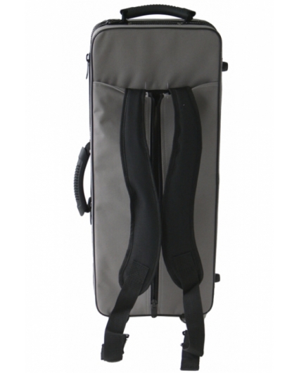 Saxofon Alto Roy Benson AS-202