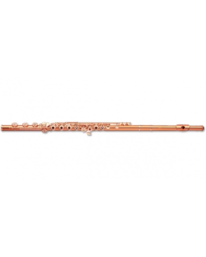 Flauta Sankyo Dt 14K-3 Be