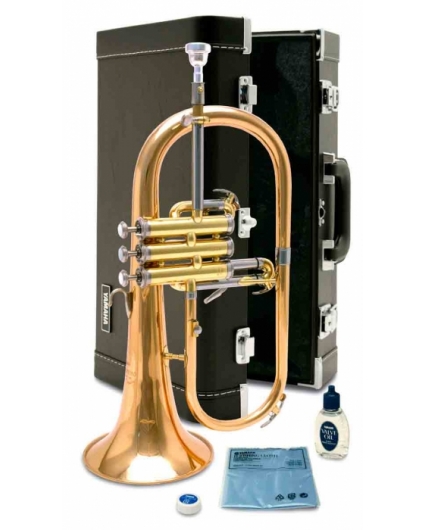 Fliscorno Yamaha YFH 631G