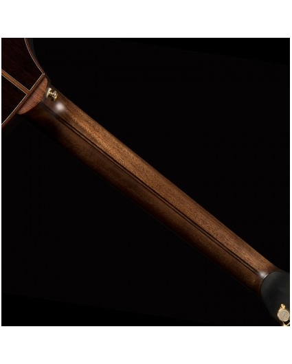 Guitarra Acustica Cort Roselyn Redux NAT