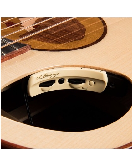 Guitarra Acustica Cort Roselyn Redux NAT
