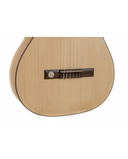 Guitarra Gewa Pro Natura Gold