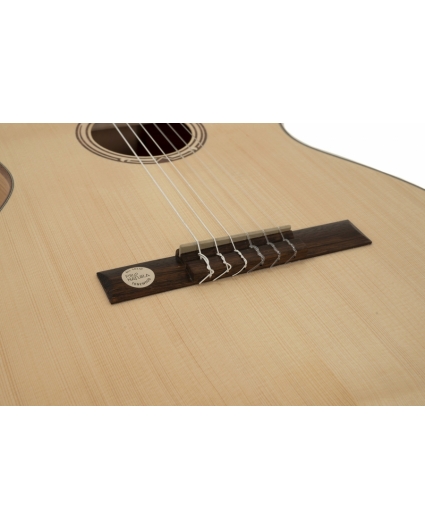 Guitarra Gewa Pro Natura Gold