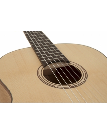 Guitarra Gewa Pro Natura Gold