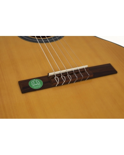 Guitarra Gewa Student Abeto Macizo
