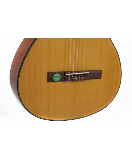 Guitarra Gewa Student Abeto Macizo