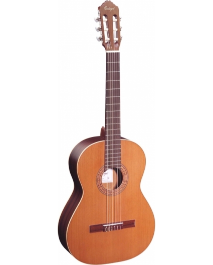 Guitarra Ortega R190 Serie Tradicional 