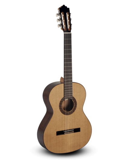 Guitarra Paco Castillo 202