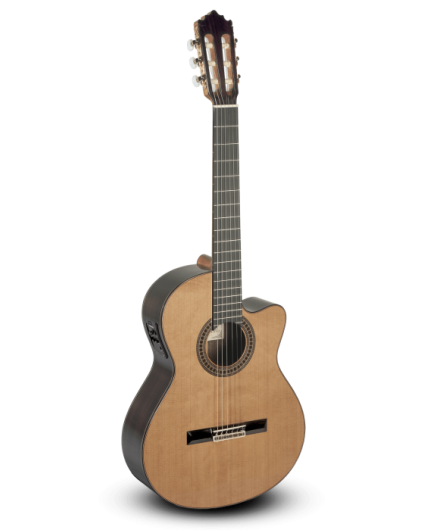 Guitarra Paco Castillo 224CE