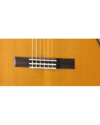 Guitarra Yamaha CG 122MC