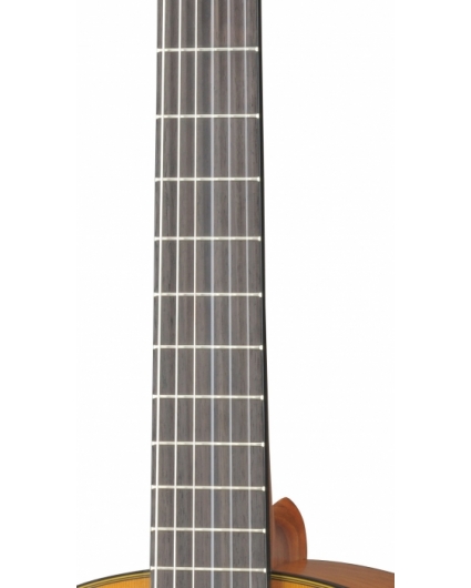 Guitarra Yamaha CG 122MC