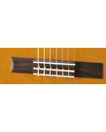 Guitarra Yamaha CG 192C