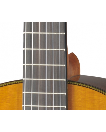 Guitarra Yamaha CG 192C