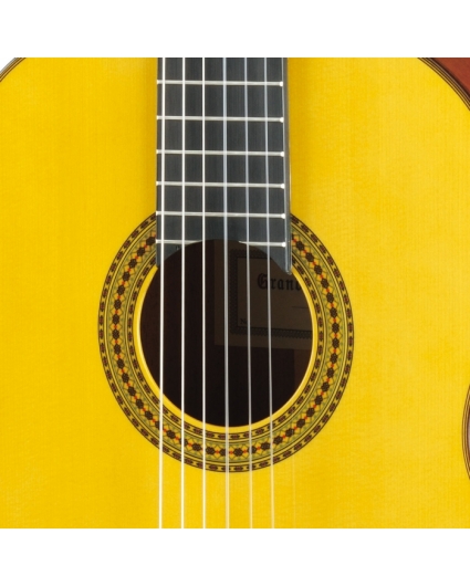 Guitarra Yamaha GC12S