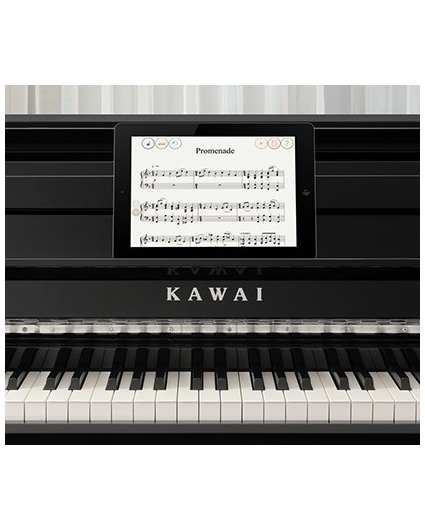 Piano Digital Kawai CN79