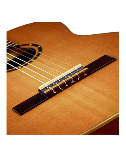 Guitarra Ortega R121WH Serie Colored Family 1/2