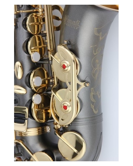Saxofon Alto Amati AAS 33BZ
