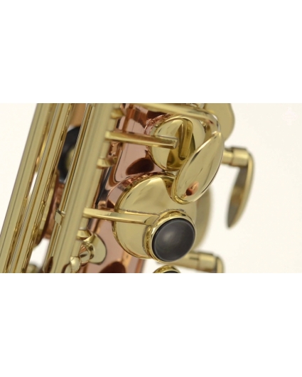 Saxofon Alto Buffet Senzo BC2525