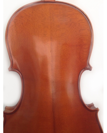 Kreutzer Viola School