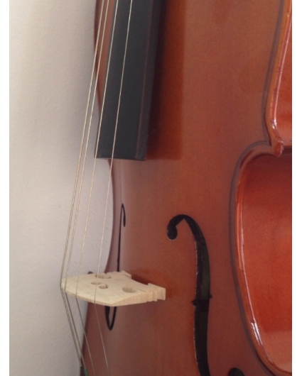Kreutzer Viola School