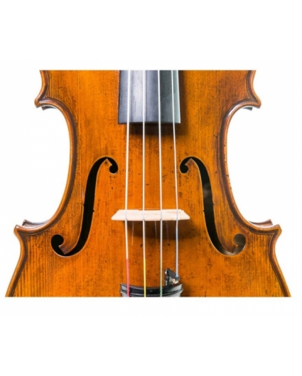 Violin Antonio Wang Taormina