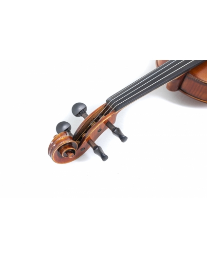 Violin Gewa Maestro 2 VL4