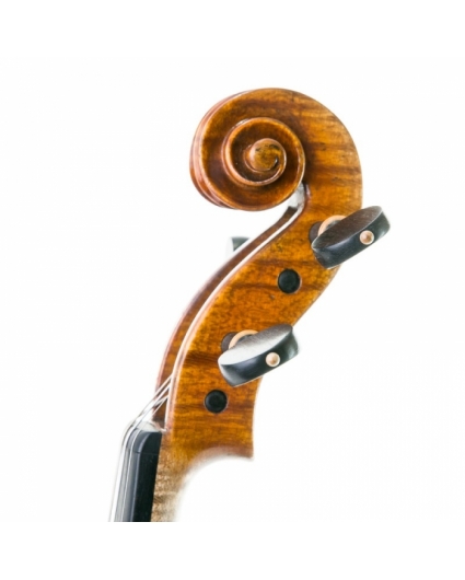 Violin Antonio Wang Signature