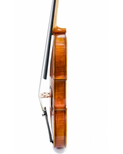 Violin Sofia Sylvanus