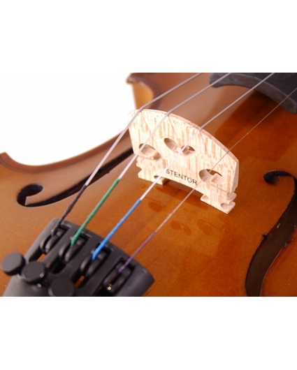 Violonchelo Stentor Student I
