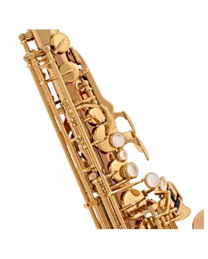 Saxofon Alto Yanagisawa A-WO20